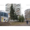 2-х комнатная квартира в центре Чернигова